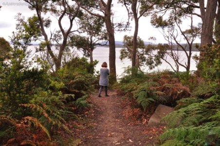 Jetty Beach Campground.001 14h03m24s2019 11 24