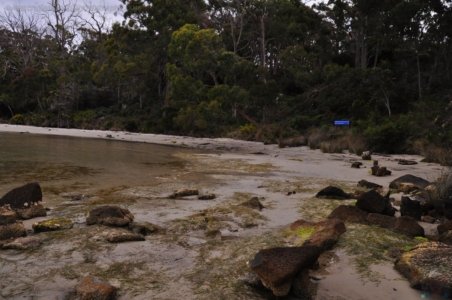Jetty Beach Campground.006 14h10m04s2019 11 24 Copy