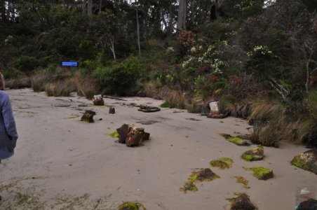 Jetty Beach Campground.008 14h10m56s2019 11 24 Copy