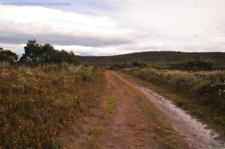 Luggaboine Circuit.025 09h44m19s2019 11 25
