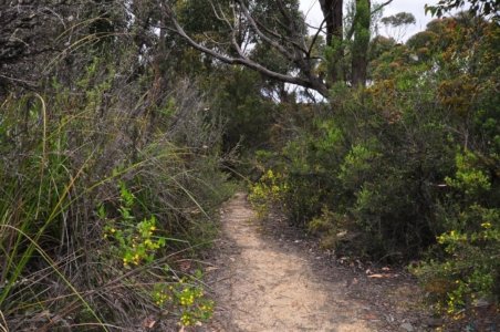 Mabel Bay.002 11h06m58s2019 11 27 Mabel Bay.002 11h06m58s2019 11 27