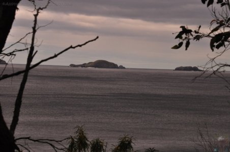 Mabel Bay.003 11h10m25s2019 11 27 Mabel Bay.003 11h10m25s2019 11 27