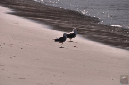 Mill Creek Campground Fortescue Bay.010 14h22m07s2019 10 30 Mill Creek Campground Fortescue Bay.010 14h22m07s2019 10 30