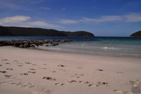 Mill Creek Campground Fortescue Bay.013 14h27m56s2019 10 30 Mill Creek Campground Fortescue Bay.013 14h27m56s2019 10 30