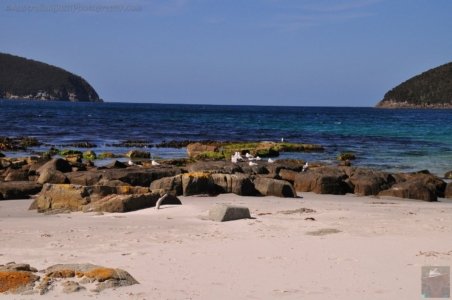 Mill Creek Campground Fortescue Bay.022 14h29m15s2019 10 30 Mill Creek Campground Fortescue Bay.022 14h29m15s2019 10 30