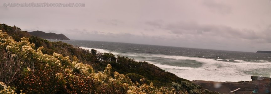 South Cape Bay East