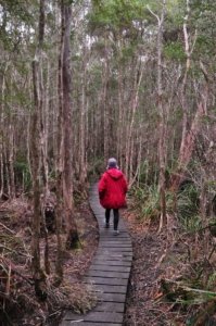 South Coast Track.002 09h16m40s2019 11 14