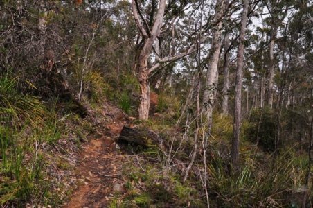 South Coast Track.004 09h43m23s2019 11 14
