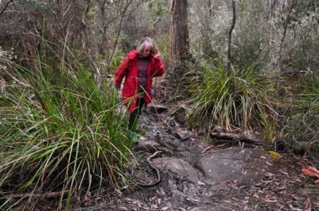 South Coast Track.005 09h53m01s2019 11 14