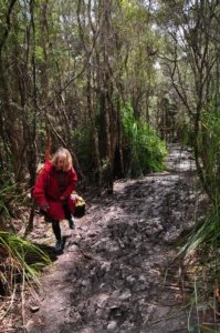 South Coast Track.009 10h13m03s2019 11 14
