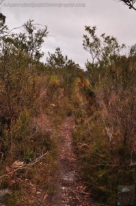 South Coast Track.012 10h21m30s2019 11 14