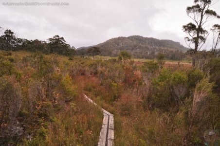 South Coast Track.016 10h23m00s2019 11 14