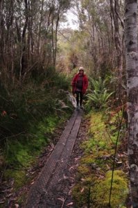 South Coast Track.028 10h32m40s2019 11 14