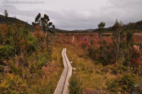 South Coast Track.029 10h35m05s2019 11 14