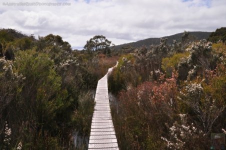South Coast Track.035 10h45m36s2019 11 14 1