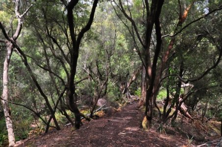 South Coast Track.043 11h28m00s2019 11 14