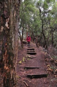South Coast Track.044 11h28m20s2019 11 14