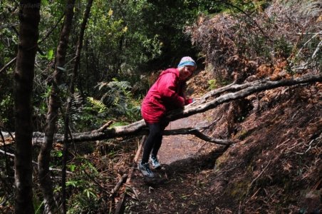 South Coast Track.045 11h45m16s2019 11 14