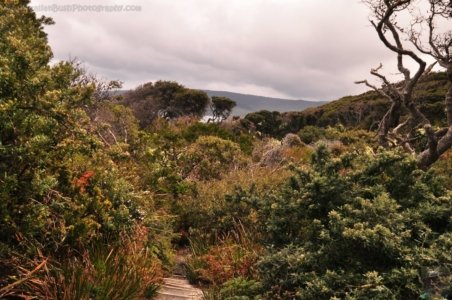 South Coast Track.047 11h54m53s2019 11 14