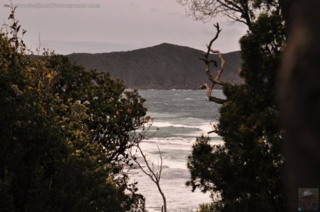 South Coast Track.050 11h59m16s2019 11 14