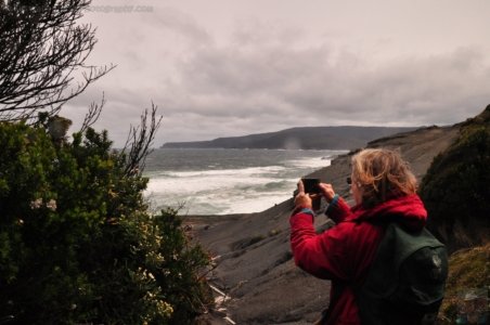 South Coast Track.057 12h14m17s2019 11 14