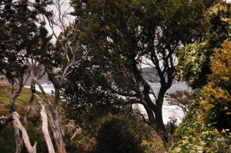 South Coast Track.058 12h17m19s2019 11 14