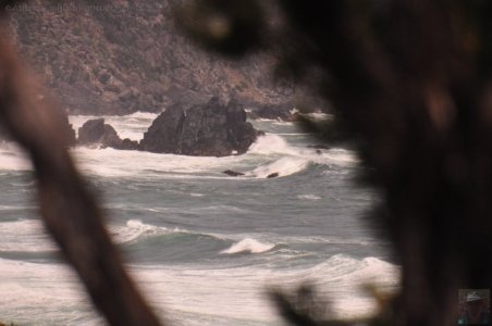 South Coast Track.059 12h17m26s2019 11 14