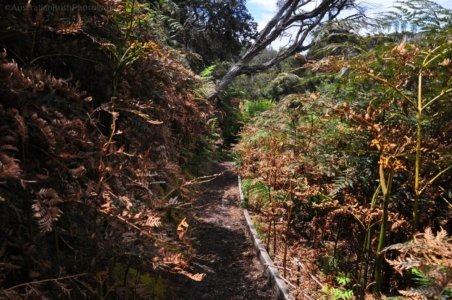 South Coast Track.060 12h22m12s2019 11 14