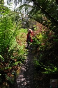 South Coast Track.061 12h23m12s2019 11 14