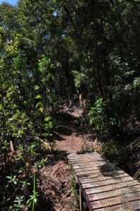 South Coast Track.066 12h32m52s2019 11 14