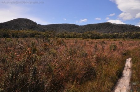 South Coast Track.068 13h04m50s2019 11 14
