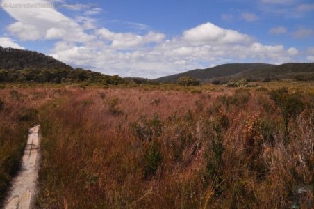South Coast Track.069 13h04m53s2019 11 14