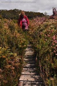 South Coast Track.070 13h07m12s2019 11 14