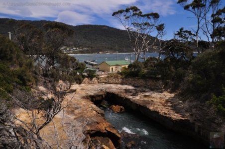 The Blowhole.002 11h07m49s2019 10 29 The Blowhole.002 11h07m49s2019 10 29