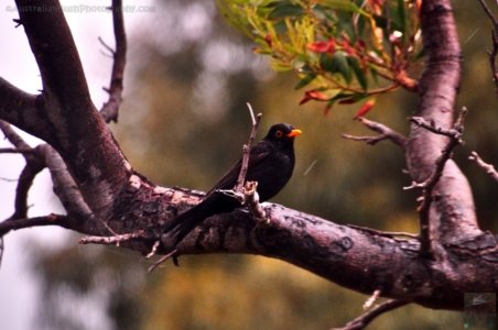 White Beach.004cp 15h00m35s2019 10 27 White Beach.004cp 15h00m35s2019 10 27