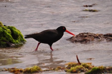 White Beach.021 14h06m31s2019 10 28 White Beach.021 14h06m31s2019 10 28