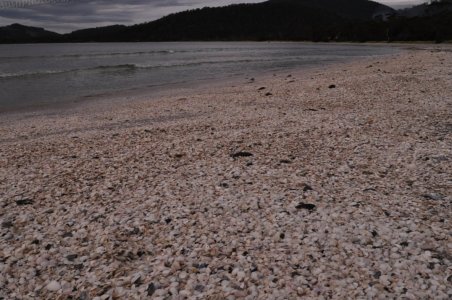 White Beach.033 14h32m48s2019 10 28 White Beach.033 14h32m48s2019 10 28