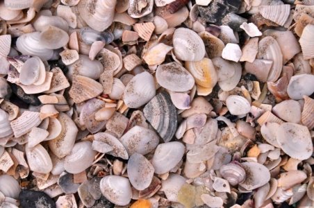 White Beach.035cp 14h32m59s2019 10 28 White Beach.035cp 14h32m59s2019 10 28