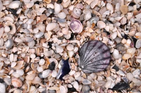 White Beach.036 cp 14h33m11s2019 10 28 White Beach.036 cp 14h33m11s2019 10 28