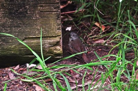 White Beach.046shcp 17h33m12s2019 10 28 SHARPEN projects White Beach.046shcp 17h33m12s2019 10 28 SHARPEN projects