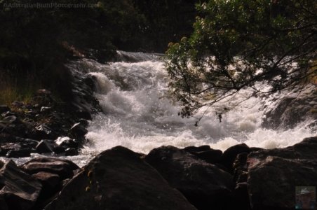 Bradys Lake Slalom Campground.006 16h27m44s2019 12 15 Bradys Lake Slalom Campground.006 16h27m44s2019 12 15