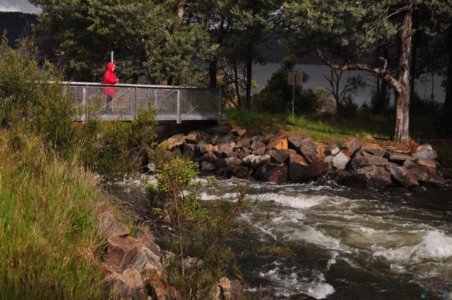Bradys Lake Slalom Campground.027 16h38m09s2019 12 15 Bradys Lake Slalom Campground.027 16h38m09s2019 12 15