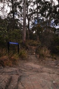 Fluted Cape Walk.004 09h40m52s2019 11 30