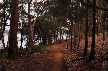 Fluted Cape Walk.005 09h43m33s2019 11 30