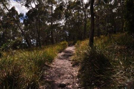 Fluted Cape Walk.007 09h53m46s2019 11 30