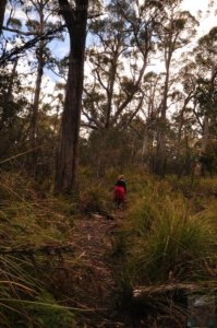 Fluted Cape Walk.009 10h37m48s2019 11 30