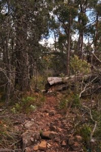 Fluted Cape Walk.026 11h13m42s2019 11 30