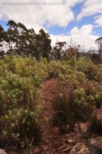 Fluted Cape Walk.027 11h15m27s2019 11 30
