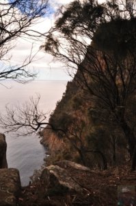 Fluted Cape Walk.036 11h41m01s2019 11 30