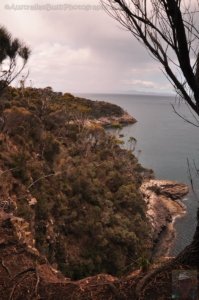 Fluted Cape Walk.044 11h55m19s2019 11 30